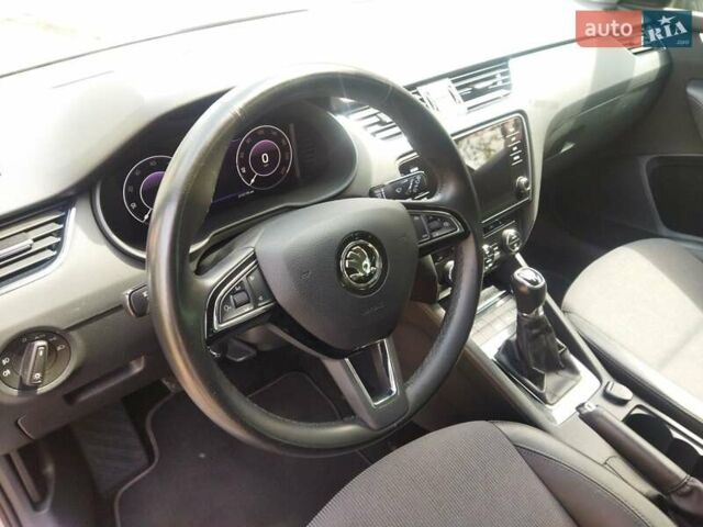 Шкода Октавия 2019 в Житомире на Automoto.ua Серый Шкода Октавия, объемом двигателя 1.6 л и пробегом 211 тыс. км за 13499 $, фото 27 на Automoto.ua