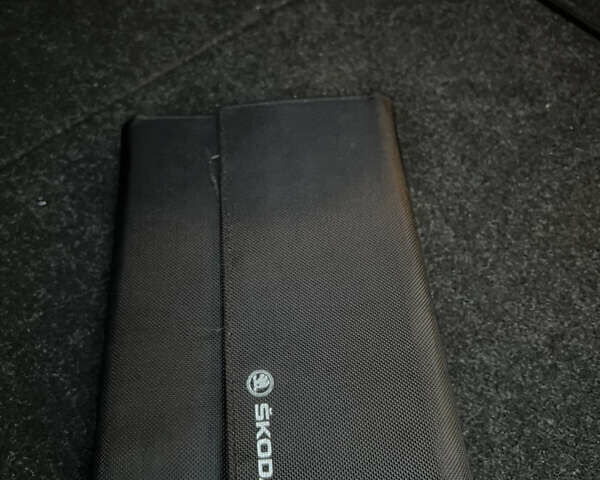 Шкода Октавия 2019 в Дрогобыче на Automoto.ua Серый Шкода Октавия, объемом двигателя 1.97 л и пробегом 231 тыс. км за 16999 $, фото 59 на Automoto.ua