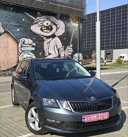 Шкода Октавия 2019 в Луцке на Automoto.ua Серый Шкода Октавия, объемом двигателя 1.97 л и пробегом 269 тыс. км за 15400 $, фото 4 на Automoto.ua