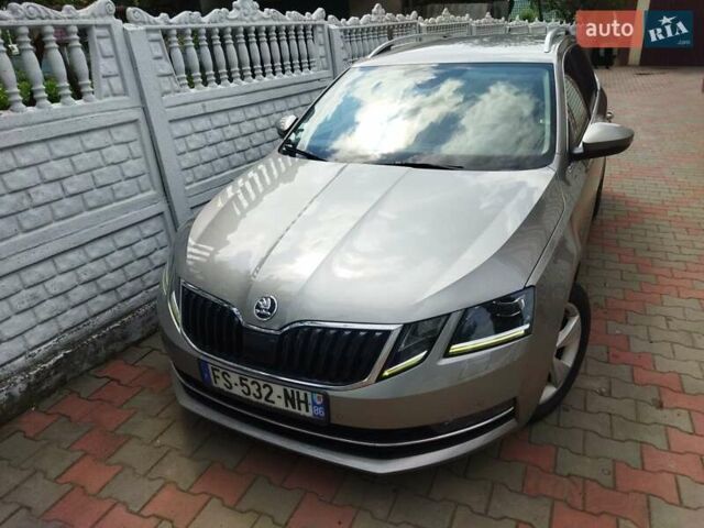 Шкода Октавия 2019 в Житомире на Automoto.ua Серый Шкода Октавия, объемом двигателя 1.6 л и пробегом 211 тыс. км за 13499 $, фото 48 на Automoto.ua