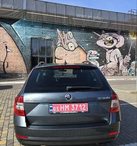 Шкода Октавия 2019 в Луцке на Automoto.ua Серый Шкода Октавия, объемом двигателя 1.97 л и пробегом 269 тыс. км за 15400 $, фото 10 на Automoto.ua