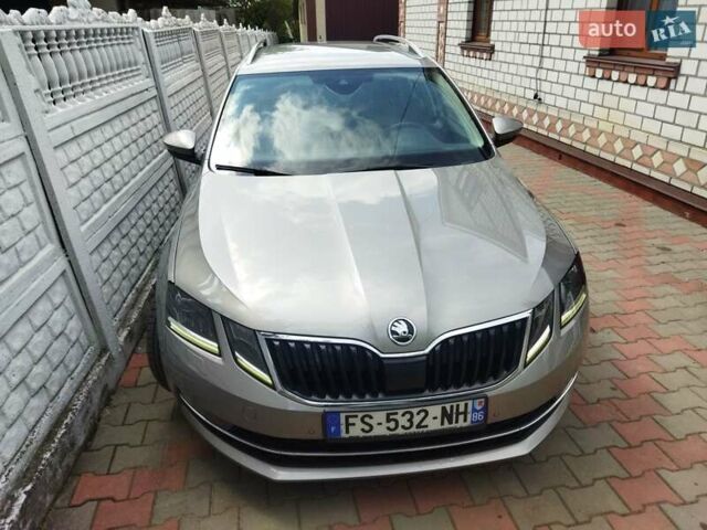 Шкода Октавия 2019 в Житомире на Automoto.ua Серый Шкода Октавия, объемом двигателя 1.6 л и пробегом 211 тыс. км за 13499 $, фото 47 на Automoto.ua