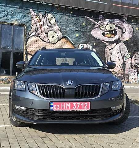 Шкода Октавия 2019 в Луцке на Automoto.ua Серый Шкода Октавия, объемом двигателя 1.97 л и пробегом 269 тыс. км за 15400 $, фото 2 на Automoto.ua