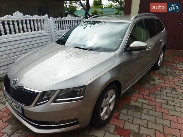 Шкода Октавия 2019 в Житомире на Automoto.ua Серый Шкода Октавия, объемом двигателя 1.6 л и пробегом 211 тыс. км за 13499 $, фото 1 на Automoto.ua