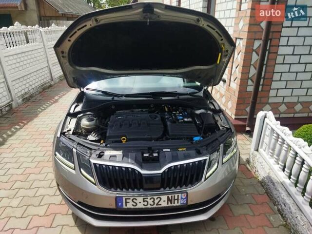 Шкода Октавия 2019 в Житомире на Automoto.ua Серый Шкода Октавия, объемом двигателя 1.6 л и пробегом 211 тыс. км за 13499 $, фото 43 на Automoto.ua