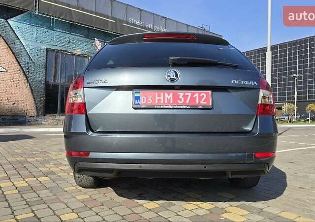 Шкода Октавия 2019 в Луцке на Automoto.ua Серый Шкода Октавия, объемом двигателя 1.97 л и пробегом 269 тыс. км за 15400 $, фото 23 на Automoto.ua