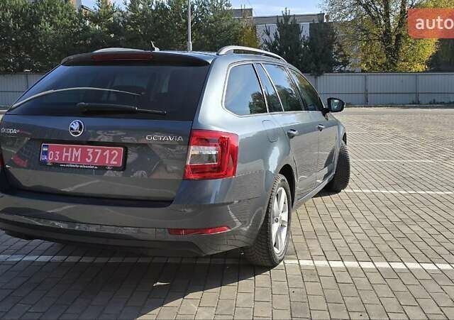 Шкода Октавия 2019 в Луцке на Automoto.ua Серый Шкода Октавия, объемом двигателя 1.97 л и пробегом 269 тыс. км за 15400 $, фото 7 на Automoto.ua