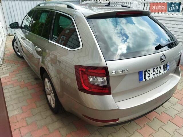 Шкода Октавия 2019 в Житомире на Automoto.ua Серый Шкода Октавия, объемом двигателя 1.6 л и пробегом 211 тыс. км за 13499 $, фото 41 на Automoto.ua