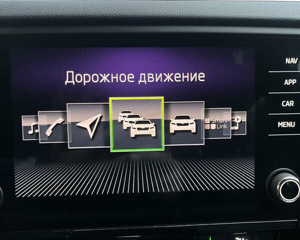 Серый Шкода Октавия, объемом двигателя 1.97 л и пробегом 255 тыс. км за 16999 $, фото 41 на Automoto.ua