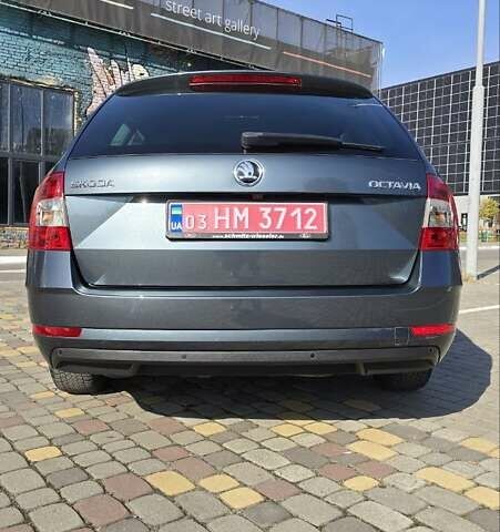 Шкода Октавия 2019 в Луцке на Automoto.ua Серый Шкода Октавия, объемом двигателя 1.97 л и пробегом 269 тыс. км за 15400 $, фото 24 на Automoto.ua