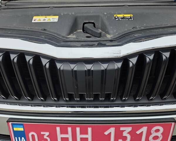 Сірий Шкода Октавія, об'ємом двигуна 1.97 л та пробігом 193 тис. км за 21200 $, фото 39 на Automoto.ua