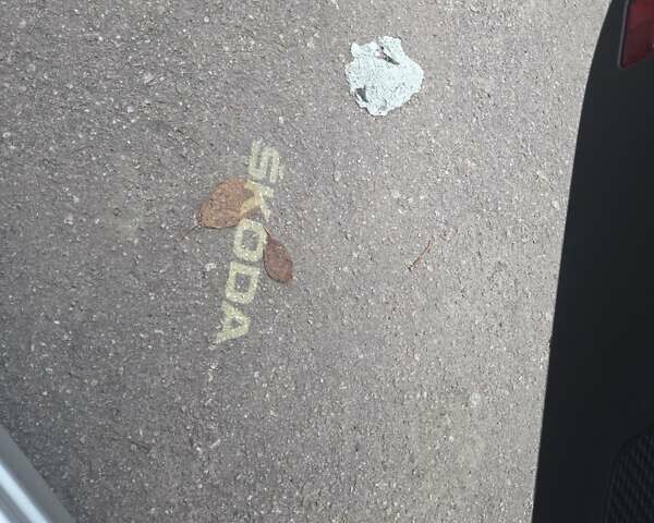 Сірий Шкода Октавія, об'ємом двигуна 2.01 л та пробігом 193 тис. км за 21200 $, фото 1 на Automoto.ua