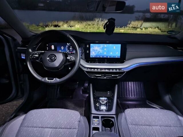 Серый Шкода Октавия, объемом двигателя 1.97 л и пробегом 231 тыс. км за 20900 $, фото 43 на Automoto.ua