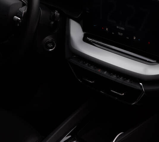 Серый Шкода Октавия, объемом двигателя 1.97 л и пробегом 149 тыс. км за 24000 $, фото 21 на Automoto.ua