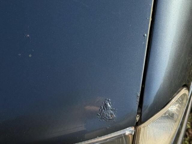 Шкода Октавия 2004 в Белой Церкве на Automoto.ua Серый Шкода Октавия, объемом двигателя 1.9 л и пробегом 330 тыс. км за 2600 $, фото 15 на Automoto.ua