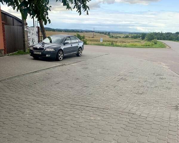 Шкода Октавия 2008 в Городке на Automoto.ua Серый Шкода Октавия, объемом двигателя 1.9 л и пробегом 337 тыс. км за 5800 $, фото 11 на Automoto.ua