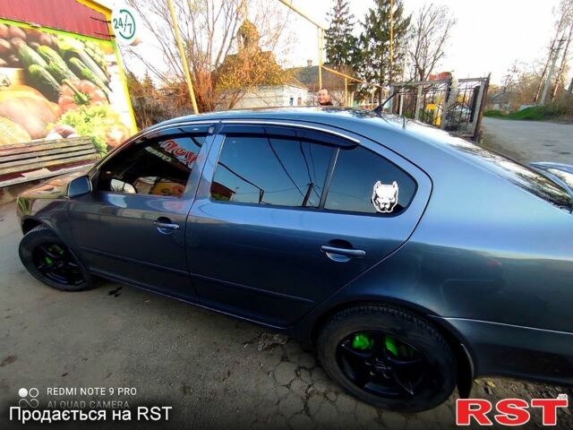 Шкода Октавия 2008 в Компанеевке на Automoto.ua Серый Шкода Октавия, объемом двигателя 2 л и пробегом 261 тыс. км за 7100 $, фото 1 на Automoto.ua