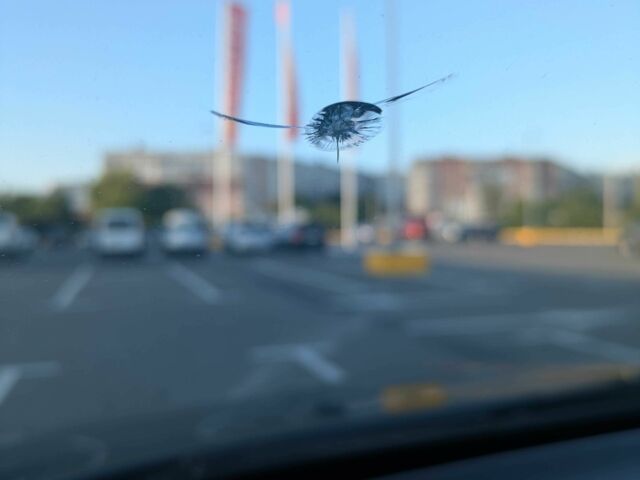 Сірий Шкода Октавія, об'ємом двигуна 1.6 л та пробігом 230 тис. км за 5300 $, фото 11 на Automoto.ua