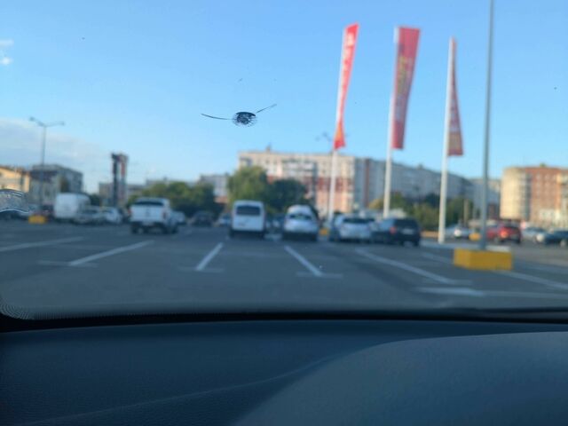 Сірий Шкода Октавія, об'ємом двигуна 1.6 л та пробігом 230 тис. км за 5300 $, фото 12 на Automoto.ua