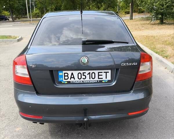 Шкода Октавия 2009 в Кропивницком (Кировограде) на Automoto.ua Серый Шкода Октавия, объемом двигателя 1.4 л и пробегом 219 тыс. км за 6400 $, фото 21 на Automoto.ua