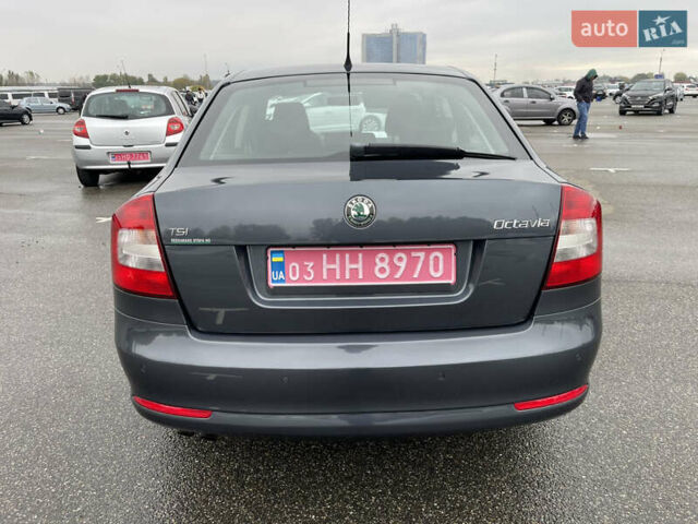 Серый Шкода Октавия, объемом двигателя 1.4 л и пробегом 242 тыс. км за 8350 $, фото 2 на Automoto.ua