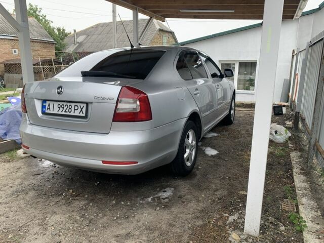 Серый Шкода Октавия, объемом двигателя 1.6 л и пробегом 285 тыс. км за 6600 $, фото 1 на Automoto.ua