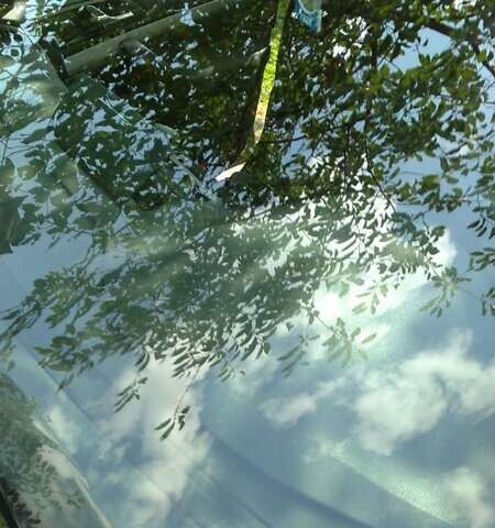 Серый Шкода Октавия, объемом двигателя 1.6 л и пробегом 209 тыс. км за 9800 $, фото 3 на Automoto.ua