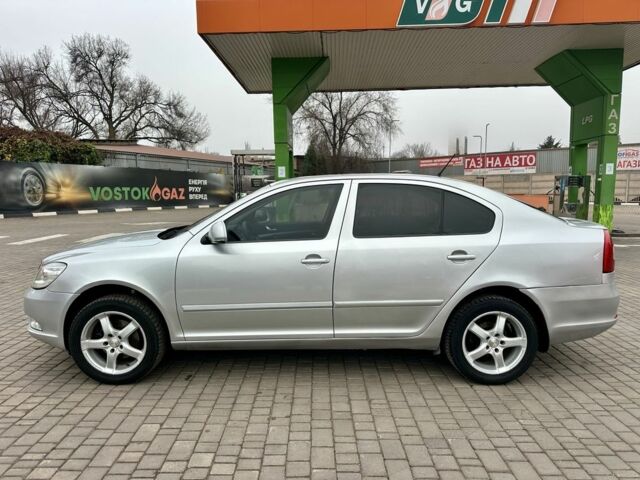 Серый Шкода Октавия, объемом двигателя 1.6 л и пробегом 221 тыс. км за 7600 $, фото 11 на Automoto.ua