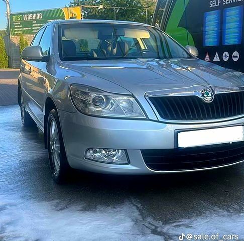Сірий Шкода Октавія, об'ємом двигуна 1.6 л та пробігом 175 тис. км за 9100 $, фото 1 на Automoto.ua