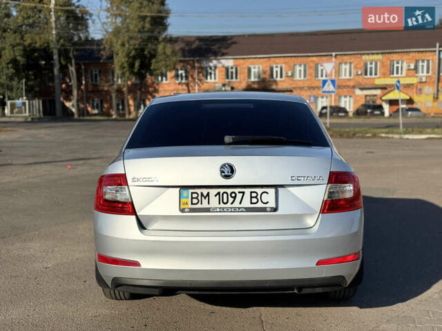 Серый Шкода Октавия, объемом двигателя 1.4 л и пробегом 106 тыс. км за 10900 $, фото 4 на Automoto.ua