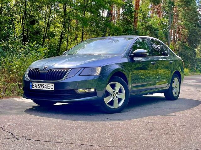 Шкода Октавия 2017 в Кропивницком (Кировограде) на Automoto.ua Серый Шкода Октавия, объемом двигателя 2 л и пробегом 164 тыс. км за 16500 $, фото 3 на Automoto.ua