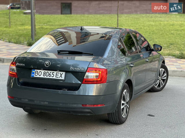 Серый Шкода Октавия, объемом двигателя 1.6 л и пробегом 290 тыс. км за 11999 $, фото 14 на Automoto.ua