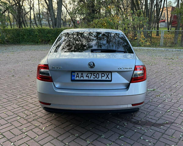 Серый Шкода Октавия, объемом двигателя 1.4 л и пробегом 236 тыс. км за 13300 $, фото 9 на Automoto.ua