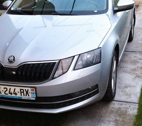 Сірий Шкода Октавія, об'ємом двигуна 1.6 л та пробігом 237 тис. км за 12950 $, фото 19 на Automoto.ua