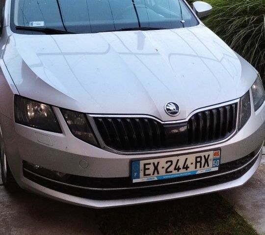Сірий Шкода Октавія, об'ємом двигуна 1.6 л та пробігом 237 тис. км за 12950 $, фото 20 на Automoto.ua