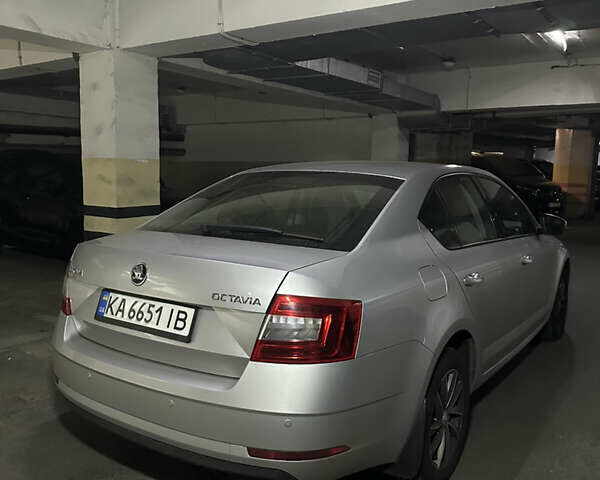 Серый Шкода Октавия, объемом двигателя 1.6 л и пробегом 170 тыс. км за 15000 $, фото 36 на Automoto.ua