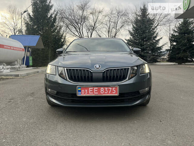 Сірий Шкода Октавія, об'ємом двигуна 2 л та пробігом 236 тис. км за 17400 $, фото 93 на Automoto.ua