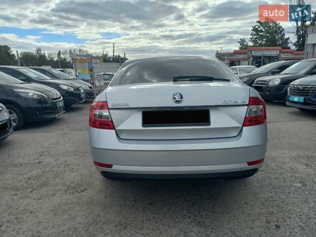 Шкода Октавия 2019 в Полтаве на Automoto.ua Серый Шкода Октавия, объемом двигателя 1.6 л и пробегом 181 тыс. км за 13999 $, фото 14 на Automoto.ua