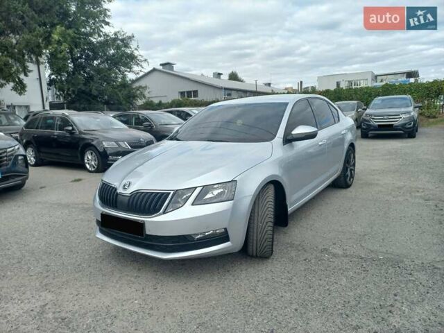 Шкода Октавия 2019 в Полтаве на Automoto.ua Серый Шкода Октавия, объемом двигателя 1.6 л и пробегом 181 тыс. км за 13999 $, фото 10 на Automoto.ua