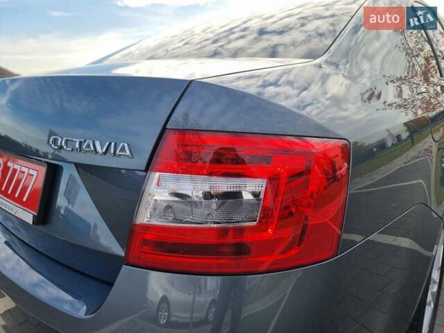 Шкода Октавия 2019 в Мукачеве на Automoto.ua Серый Шкода Октавия, объемом двигателя 1.4 л и пробегом 208 тыс. км за 12500 $, фото 13 на Automoto.ua