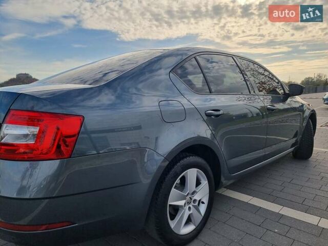Шкода Октавия 2019 в Мукачеве на Automoto.ua Серый Шкода Октавия, объемом двигателя 1.4 л и пробегом 208 тыс. км за 12500 $, фото 14 на Automoto.ua