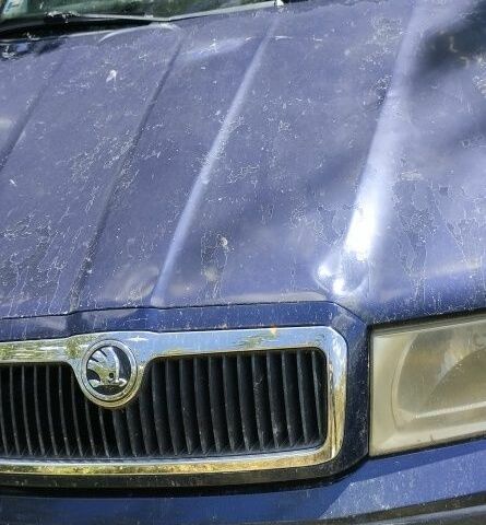 Синій Шкода Октавія, об'ємом двигуна 2 л та пробігом 888 тис. км за 2158 $, фото 6 на Automoto.ua