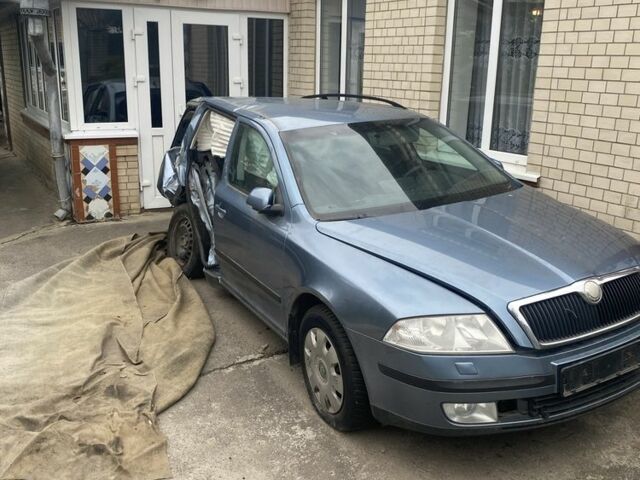 Синий Шкода Октавия, объемом двигателя 1.9 л и пробегом 300 тыс. км за 2950 $, фото 6 на Automoto.ua