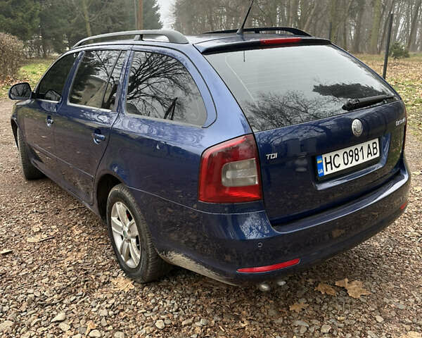 Синий Шкода Октавия, объемом двигателя 1.9 л и пробегом 355 тыс. км за 5500 $, фото 12 на Automoto.ua