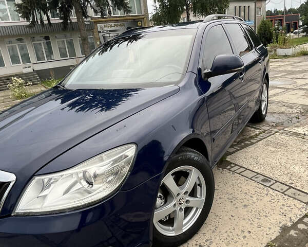 Синий Шкода Октавия, объемом двигателя 1.97 л и пробегом 334 тыс. км за 6500 $, фото 7 на Automoto.ua