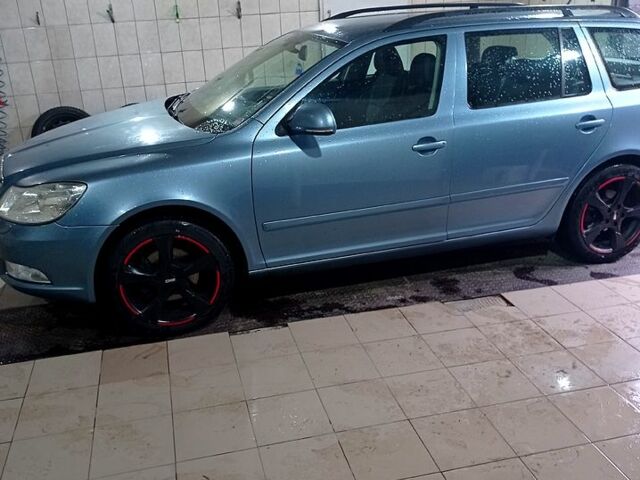 Шкода Октавия 2011 в Черкассах на Automoto.ua Синий Шкода Октавия, объемом двигателя 1.8 л и пробегом 220 тыс. км за 8200 $, фото 1 на Automoto.ua