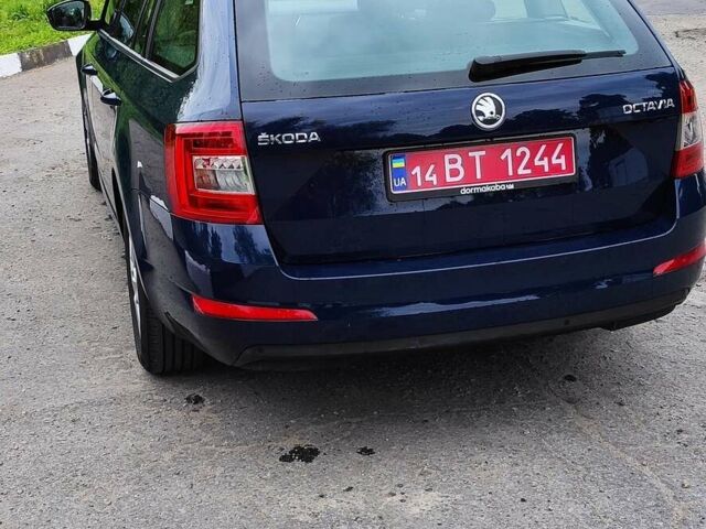 Синий Шкода Октавия, объемом двигателя 1.6 л и пробегом 325 тыс. км за 11000 $, фото 15 на Automoto.ua