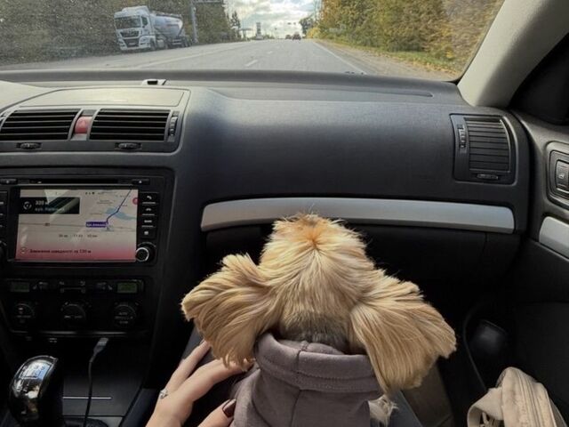 Синий Шкода Октавия, объемом двигателя 1.6 л и пробегом 241 тыс. км за 6900 $, фото 7 на Automoto.ua