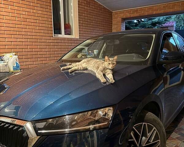 Синий Шкода Октавия, объемом двигателя 1.4 л и пробегом 147 тыс. км за 23200 $, фото 9 на Automoto.ua