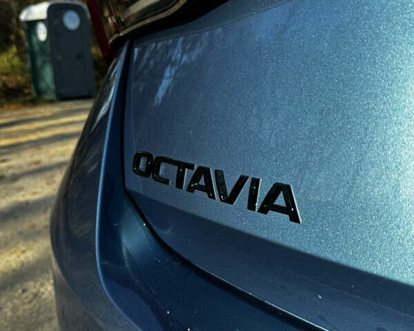 Синий Шкода Октавия, объемом двигателя 1.97 л и пробегом 66 тыс. км за 27900 $, фото 60 на Automoto.ua